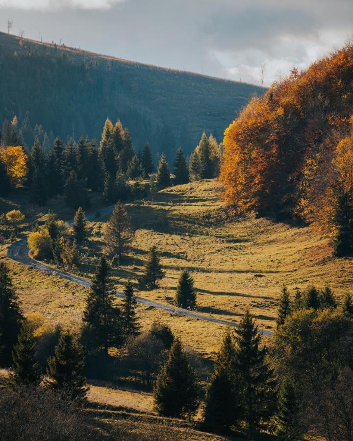 Willa Geodomsk Mlynky Zewnętrze zdjęcie